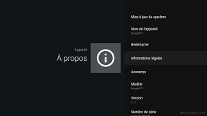 Importante mise à jour pour les bbox ng1 (sagemcom) et ng2 (ubee). Premier Apercu D Android Tv Sur La Bbox Miami Bbox Actus