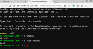 Using A Chromebook For Web Development Miguelgrinberg Com