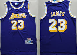 The team was ranked fourth last year. Lakers 23 Lebron James Purple Hardwood Classics Jersey Los Angeles Lakers Lakers Basketball Jersey