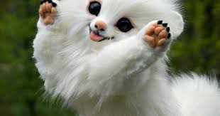 Raccoon Albino Angel Forest Animals Fantasy Creatures Pets Toys For Kids And Adults Realistic Stuffed Animals Toys For Home Decorating 2020 Hayvanlar Resimler
