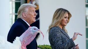 We did not find results for: Could Donald Trump Pardon Himself