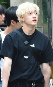 See cdfw's online license site for information on purchasing licenses, permits, tags and other entitlements. Call Me Captain Do Not Edit Or Crop Logo Stray Kids Chan Chris Chan Stray