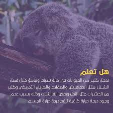 مفارش ميلين on instagram مستقبلك يعتمد على أحلامك لذا اذهب للنوم ميلين نومة عن نومة تفرق