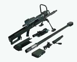 Mechem NTW-20 - Modern Firearms