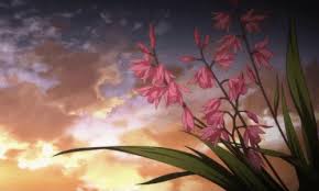 We offer an extraordinary number of hd images that will instantly freshen up your smartphone or computer. Fleurs Naturel Flowers Gif Find On Gifer
