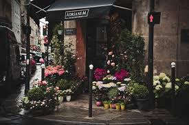 Check spelling or type a new query. 5 Best Florists In Chicago Top Rated Leading Florists