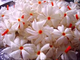 11 Parijatham Ideas Flowers Flower Decorations Beautiful Flowers Sie haben die aussprache von parijatham richtig. 11 parijatham ideas flowers flower