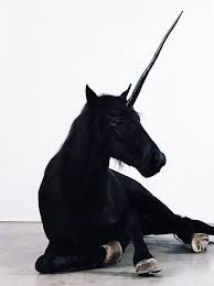 Which Dark Magical Creature Are You Whats Your Spirit Animal Black Unicorn Animals