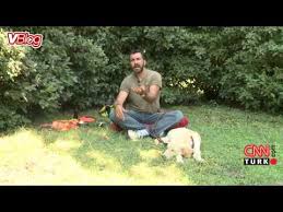 Hayvan Fobimi Nasil Yendim Korkuya Son Youtube