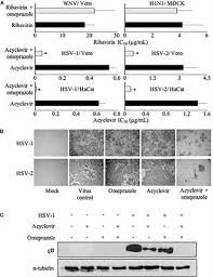 An estimated 3.7 billion people under. Frontiers Omeprazole Increases The Efficacy Of Acyclovir Against Herpes Simplex Virus Type 1 And 2 Microbiology