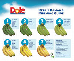 Banana Ripening Chart Related Keywords Suggestions