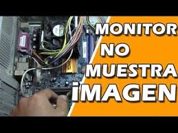 Computadora Pc Enciende Pero Mi Monitor No Muestra La Imagen Ingenius Youtube Informatica Y Computacion Computacion Informatica