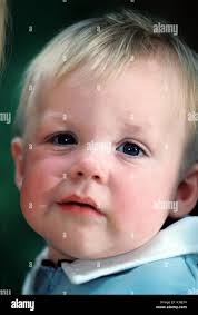 Vink hi-res stock photography and images