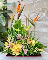 Some of the more popular apology flowers include lilies, ivies, white tulips, white orchids and blue hyacinths. Flowers Just Because Home Facebook