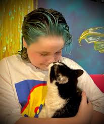 Missing Cat from The Beeches, Temple Hill road area. Newry. Please check  sheds and out houses if you live in the area. Thanks!!