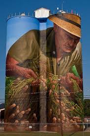 Birdsong Peanut Co Silo Murals Street Art Street Art Graffiti Sidewalk Art