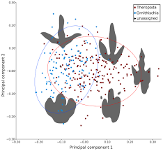 Image result for Tridactyle virginea