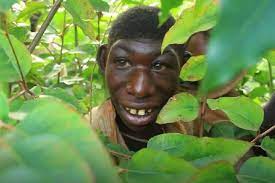 Well, sebagian memang butuh penduduk di afrika nggak semuanya orang kulit hitam. Zanziman Ellie Mowgli Dunia Nyata Yang Hidup Di Hutan Afrika Karena Di Bully Halaman All Kompas Com