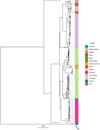 Kc freight forwarders sdn bhd. Genomics Of Ocular Chlamydia Trachomatis After 5 Years Of Safe Interventions For Trachoma In Amhara Ethiopia Biorxiv