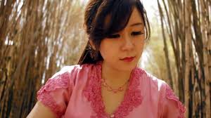 Indonesia Pusaka Olivia Lin Guzheng Cover