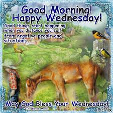 We did not find results for: Gif Image Popular Morning Happy Wednesday Gif