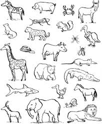 30 Sfoglia Disegni Animali Foresta Da Colorare Disegnare Animali Disegno Di Animali Idee Per Disegnare