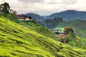 Maybe you would like to learn more about one of these? National Holidays In Pahang In 2019 Office Holidays