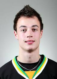 Player photos for the 2013-14 Herning Blue Fox at hockeydb.com