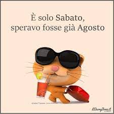 E Solo Sabato 13130 Good Morning Good Night Mirrored Sunglasses Humor