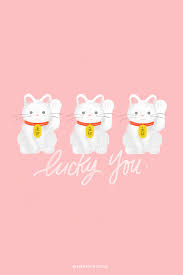 Lucky Cat Wallpaper Emmygination Lucky Wallpaper Cat Wallpaper Lucky Cat