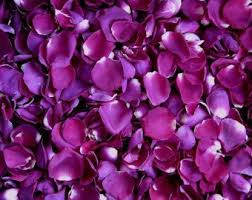 Petales De Rose Sechees Congelees Lavande 200 Tasses De Etsy Freeze Dried Rose Petals Real Rose Petals Dried Rose Petals