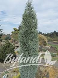 Pin On Outside