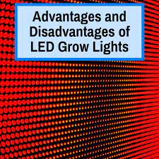 We did not find results for: Pros And Cons Of Led Grow Lights Grow Light Info