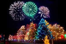 34th Annual Christmas tree festival