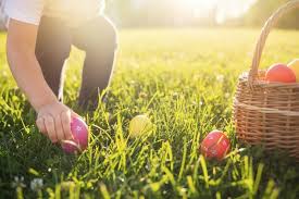 Little Girl Hunts Easter Egg Child Putting Colorful Eggs In A Basket Little Gi Affiliate Egg Child Puttin Hunting Girls Easter Eggs Kids Easter Eggs