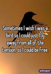Birds That Don T Fly Away Sometimes I Wish I Was A Bird So I Could Just Fly Away From All Of The Tension So I Could Be Free Fly Quotes Instagram Story Ideas Wish