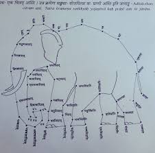 Animal names in tamil here is a list of tamil names of animals from english. Learning Spoken Sanskrit Challenges Students Of The Ancient Indian Language
