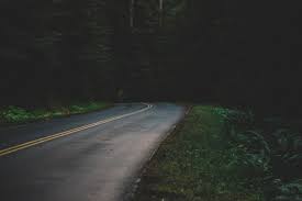 Free Images : nature, forest, path, pathway, outdoor, light, road ...