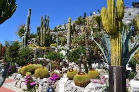 Jardin Exotique D Eze Jardin Exotique Exotique Jardins