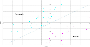 Image result for Microcharis remotiflora