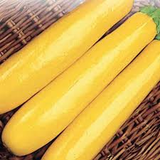 Using a clean dish towel or cheese cloth, drain zucchini completely. Zucchini Seeds Gold Rush Mckenzie Seeds