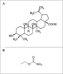 Betulinic acid modulates urethane-induced genotoxicity and mutagenicity in  mice and Drosophila melanogaster