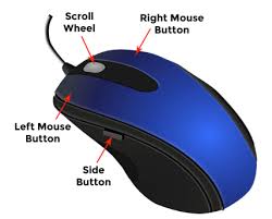 There is lack of consensus over what range of animals is encompassed by the term mouse (plural mice). Different Buttons On A Computer Mouse University Of Wollongong Uow