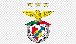 Maybe you would like to learn more about one of these? Volleyball Sl Benfica Derby De Lisboa Sporting Cp Museu Benfica Sport Lissabon Portugal Schnabel Kamm Derby De Lisboa Png Pngwing