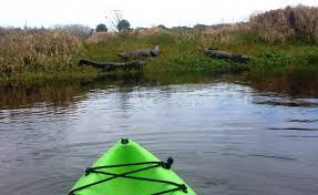 Myakka river state park is a phenomenal place for day hiking, trail running, adventure picnicking, backpacking, kayaking, canoeing, and backcountry bikepacking. Myakka River Florida Paddling Canoe Kayak Florida Myakka River State Park Kayaking Canoe