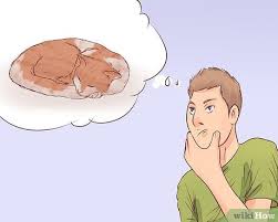 A general rule of thumb to follow is when the bad days outnumber the good days, but that can be difficult to assess. How To Know When To Euthanize Your Cat With Pictures Wikihow