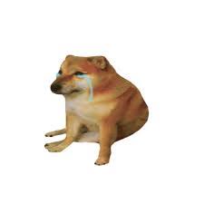 Pin On Dogues