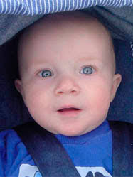 New Editions to JTRs Colorful Family