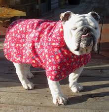 English Bulldog Reversible Coat Polar Fleece Warm Winter