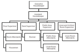 Organizational Chart Of Housekeeping Department In A Small